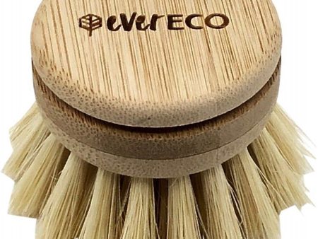 Ever Eco Dish Brush Head Replacement Head X1 Supply