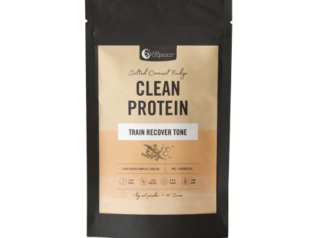 Nutra Organics Clean Protein Salted Caramel Fudge 1 kg Online Hot Sale